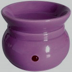 Rose Electric Oil Burner for Essential Oils