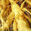 Ginger Root